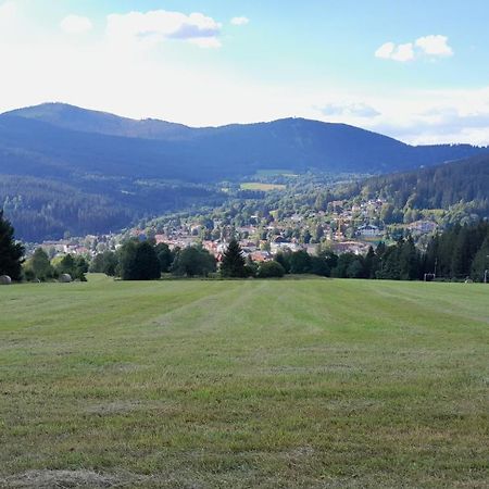Apartman Železná Ruda Exteriör bild
